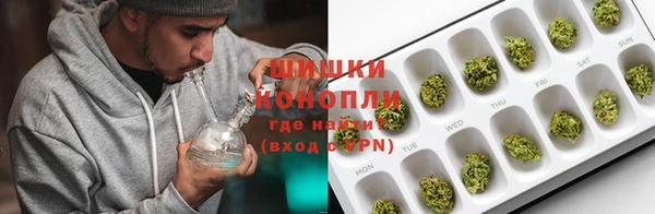 МДПВ Богородицк