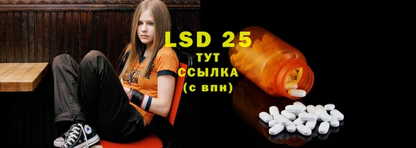 дурь Богданович