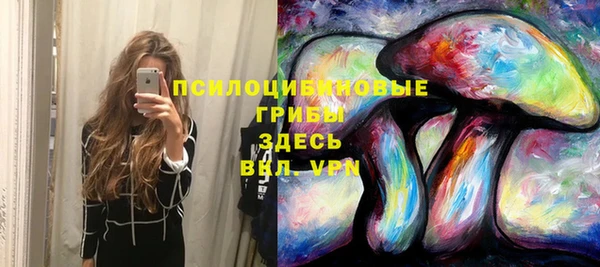 МДПВ Богородицк