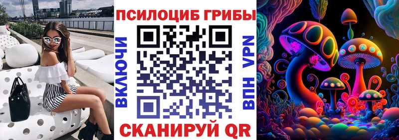 что такое   Десногорск  Псилоцибиновые грибы Magic Shrooms 